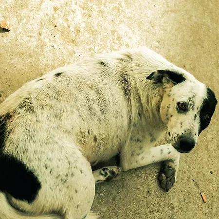 Shtino 3* Gjirokastër